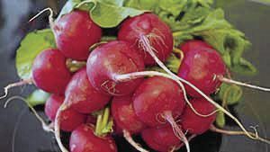 Radishes